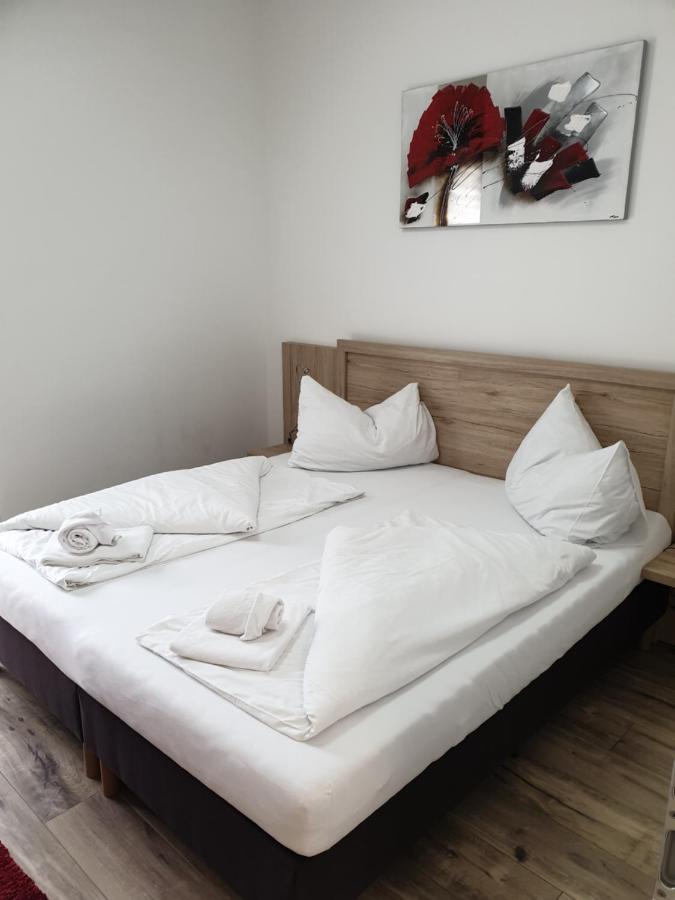 Cityapartment Monika Schladming Eksteriør billede